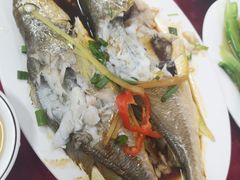 -蛇口康乐快餐鱼仔档(翠苑小区店)
