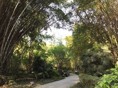 景点-望江楼公园