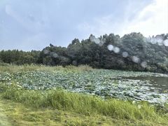 -池州市平天湖风景区