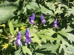 -白草畔自然风景区