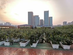 -三分地生态园·儿童乐园