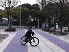 -南翔镇银翔湖公园