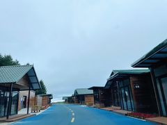 -塞罕坝国家级自然保护区