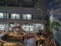 -自贡恐龙博物馆