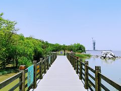 -上海吴淞炮台湾国家湿地公园
