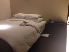 璞丽酒店-上海璞麗酒店