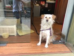 -元氏钵仔糕(北京路店)