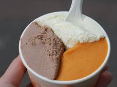 -Dip in Gelato(富民路店)