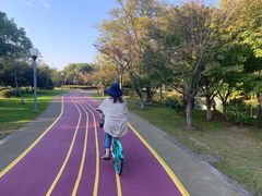 -尚贤河湿地