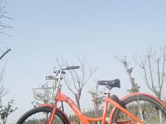 -洨河生态公园