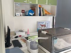 -佳怡动物医院·平价24小时·猫专科骨外科