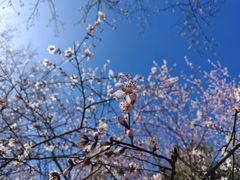 -滨河世纪广场公园