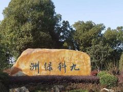 -九科绿洲