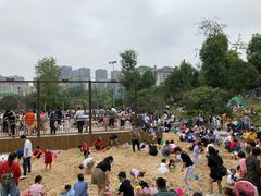 -枫香湖儿童公园