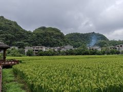-高荡千年布依古寨旅游景区