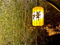 -禅宗少林·音乐大典