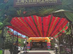 -上海大自然野生昆虫馆(东方明珠·爬宠昆虫探索中心)