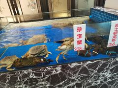 水产区-宝园酒家(美林M·LIVE天地东座店)