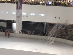 -TheRink大零溜冰场(IFS国金中心店)