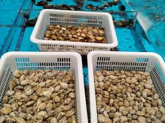 -艳阳天·非遗楚菜(武汉客厅店)