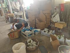 -马陆小张葡萄园农家乐