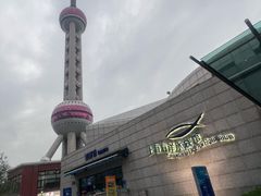 -上海海洋水族馆