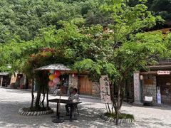-牛背梁国家森林公园