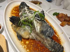 清蒸老虎斑-万龙洲海鲜(南新仓店)