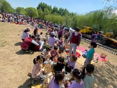 -京师双语幼儿园