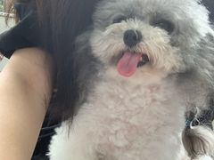 -博特宠物医院24h犬猫全科.骨科·异宠