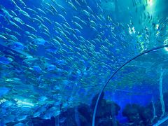 -成都浩海立方海洋公园