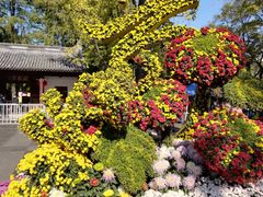 -汇龙潭