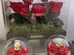 -ROSEONLY诺誓(广州K11店)