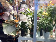 -丽达购物中心(崂山店)