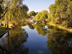 -上海共青森林公园