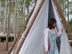 -桉树林A coffee 森林餐厅(三圣乡店)