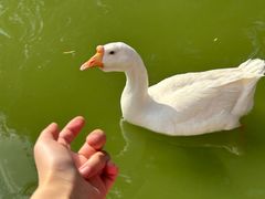 -团结湖公园