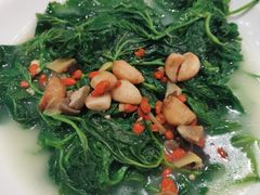 -御生皇·新天然居·顺德鱼生·顺德菜·广式早茶