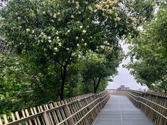 -福道
