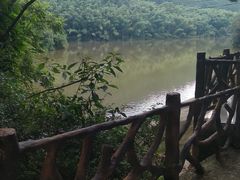 -滴水岩森林公园