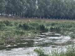 -绿堤公园