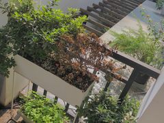 -边渡咖啡烘焙店(昙华林店)