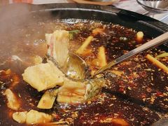 -费明中罗非鱼(大石坝店)
