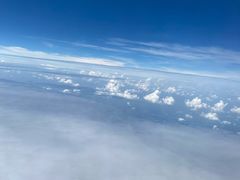 -重庆海昌加勒比海水世界