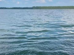 -滕州微山湖红荷湿地景区