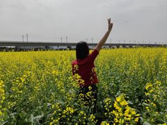 -光明小镇欢乐田园