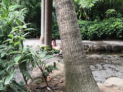 -厦门日月谷温泉渡假村