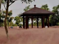 -南湖湿地公园