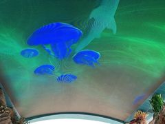 -珠海长隆海洋王国