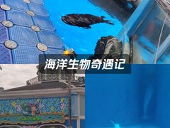 -海合安成都极地海洋公园